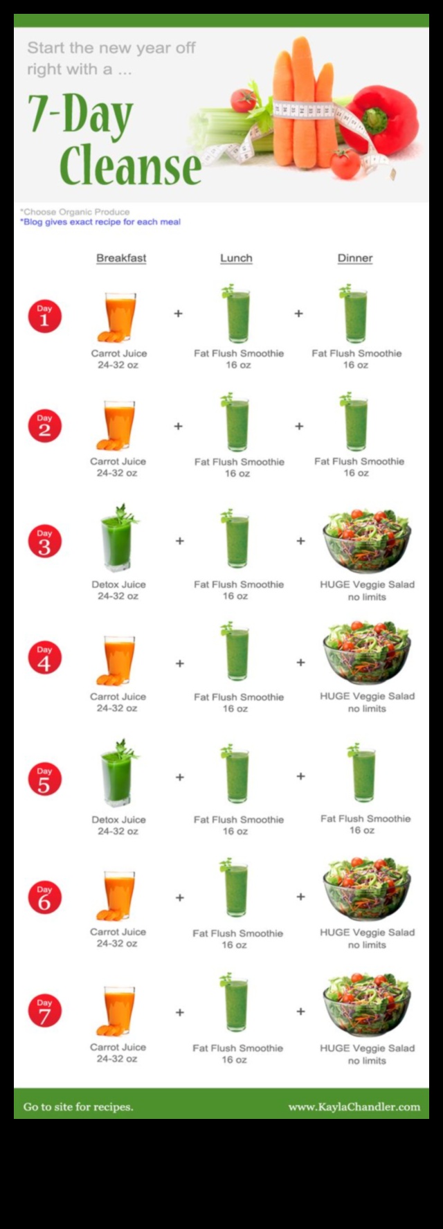 Detox Diaries A 7-Day Cleanse Plan to Flush Toxins with Cleansing Green Smoothies 1 Detox Diaries: Flushing Toxins with Cleansing Green Smoothies