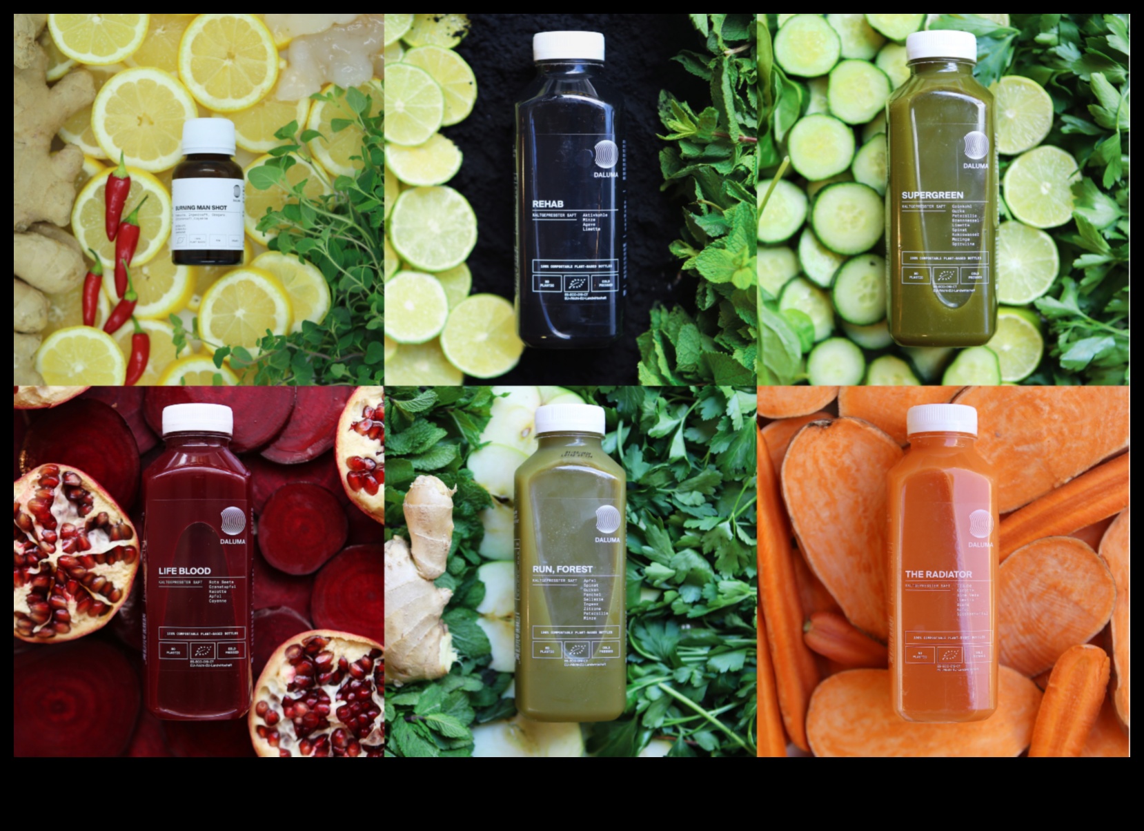 Detox Diaries Cleanse Your Body and Mind with Nutrient-Rich Fresh Juices 4 Detox Diaries: Cleansing Your Body with Nutrient-Rich Fresh Juices