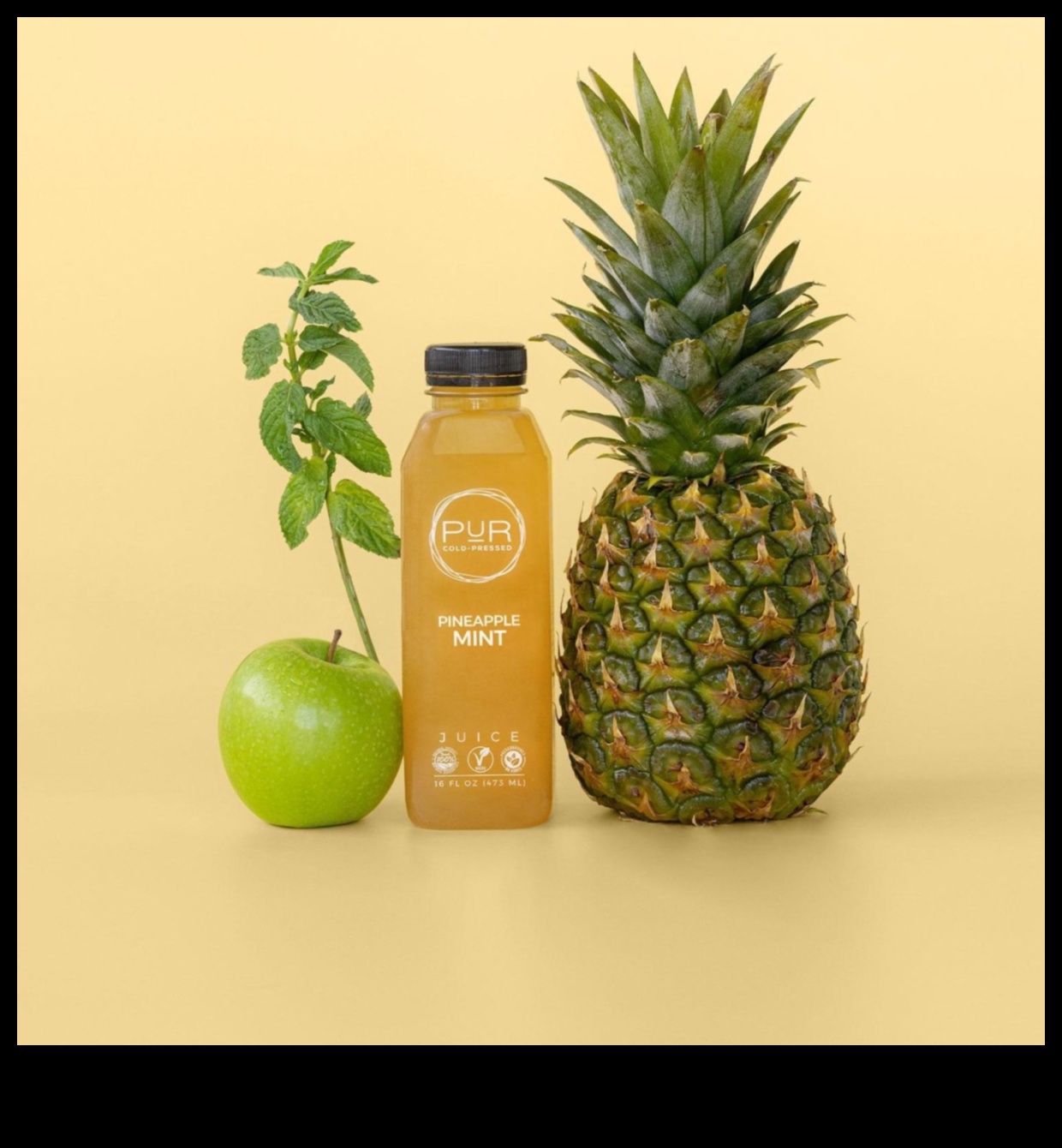 Detox Harmony: Balancing Flavors and Nutrients in Juice Creations