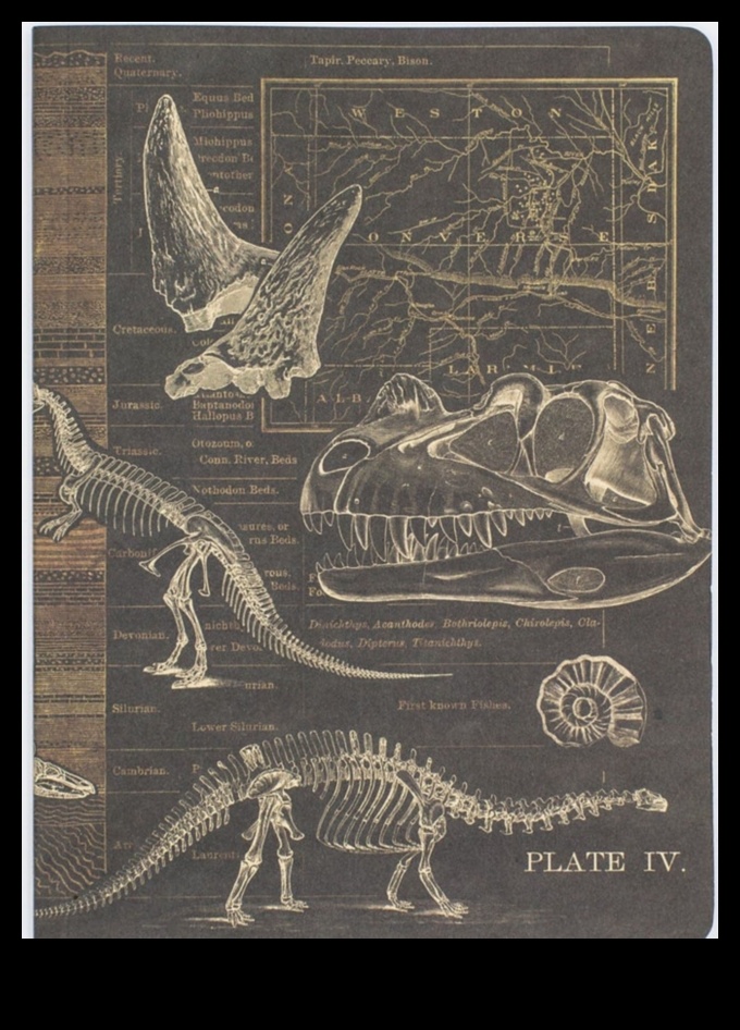 Dino Delights: Gifts for the Junior Paleontologist