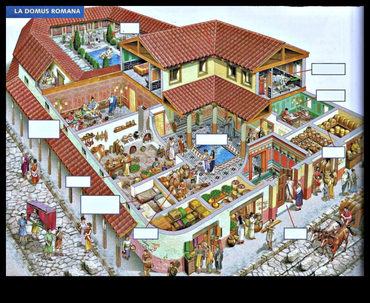 Domus Designs: Decorative Arts in Roman Homes