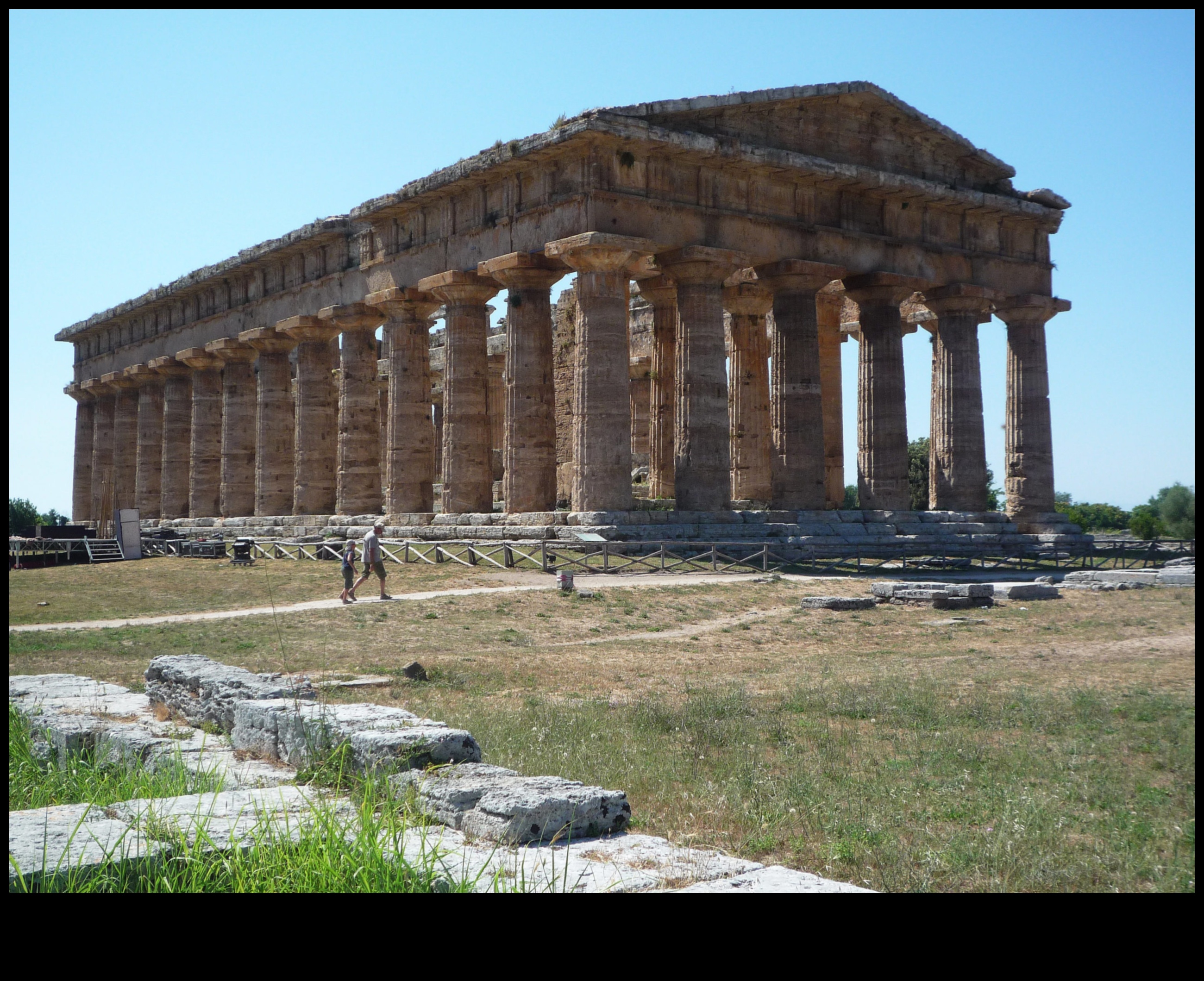 Doric Dominance: Columns in Greek Temple Architecture