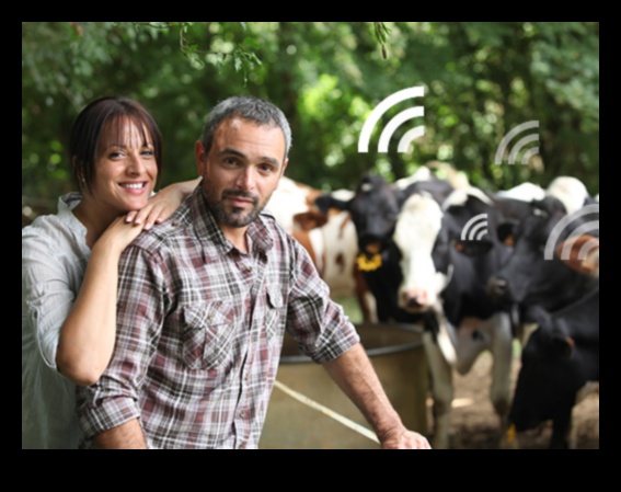 Dutch Dairies A Visual Journey Through Rural Life 5 Dutch Dairies: Artistic Representations of Rural Life