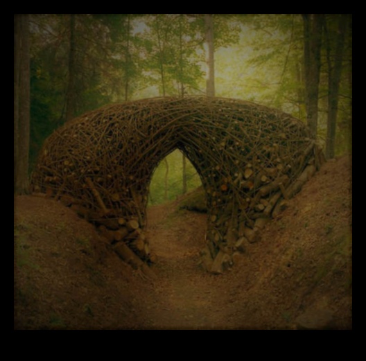 Eco-Art Endeavors: Environmental Consciousness in the Modernist Movement