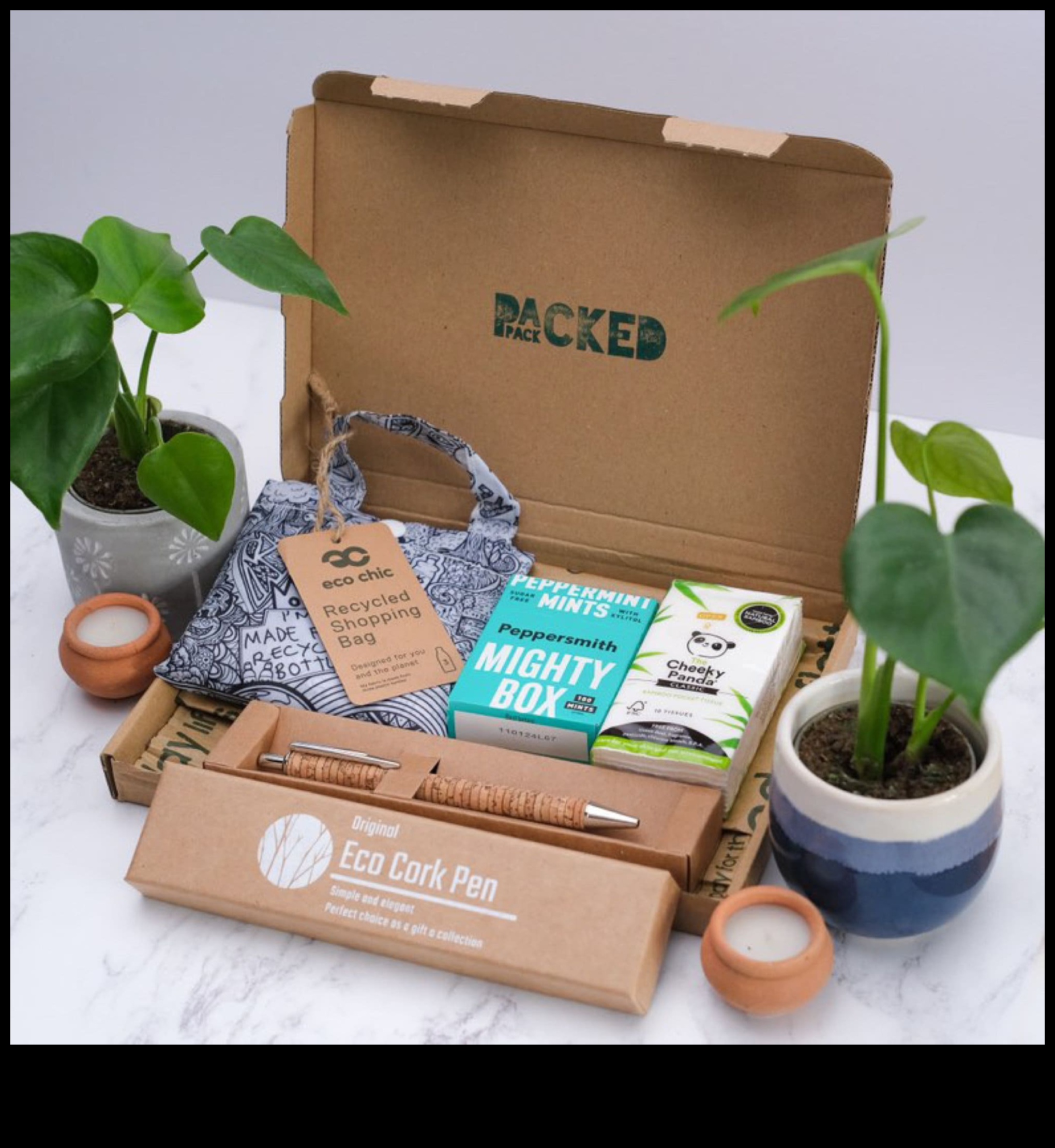 Eco-Chic Explorer: Sustainable Gifts for the Environmentally Conscious