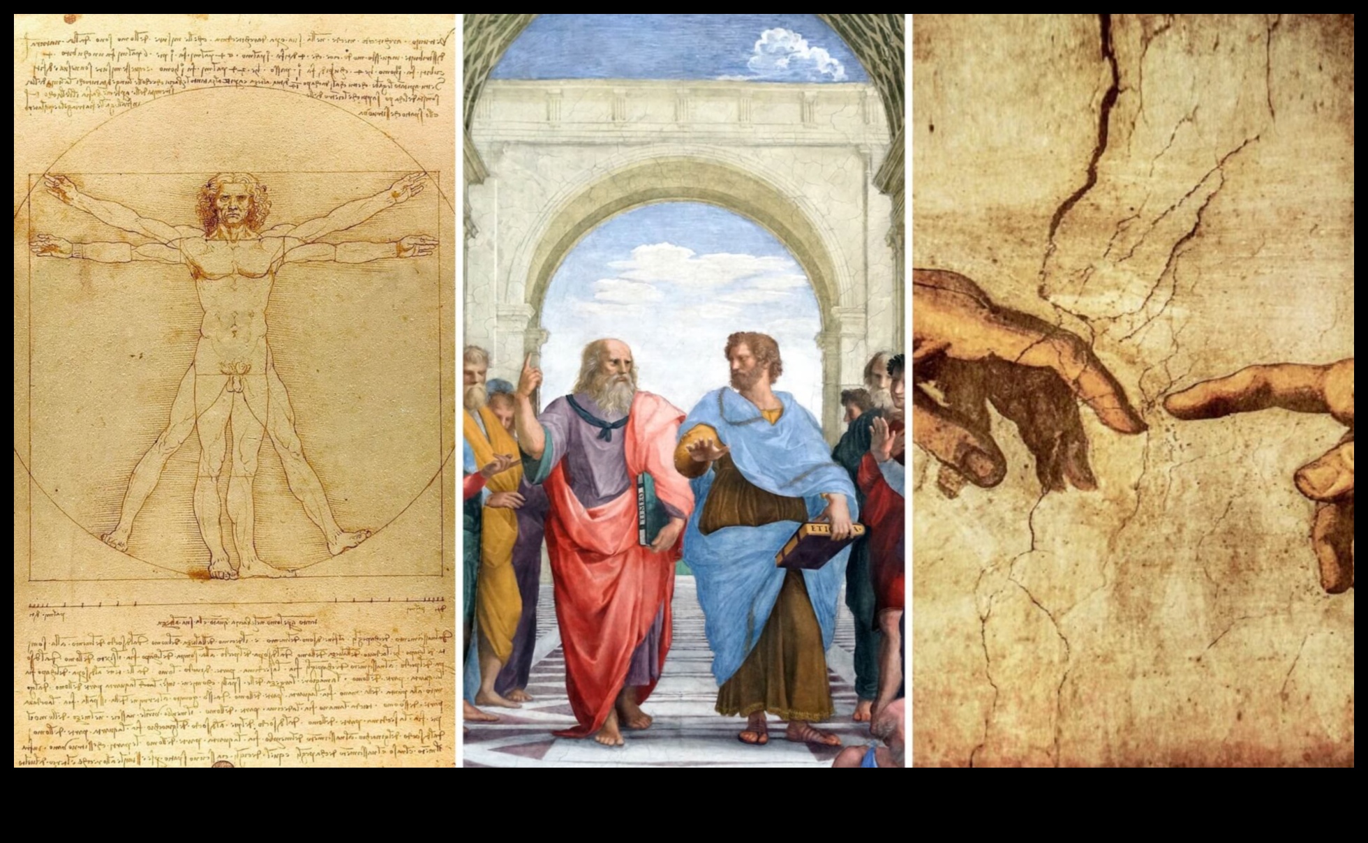Elegance in Evolution: Tracing the Artistic Progression of the Renaissance