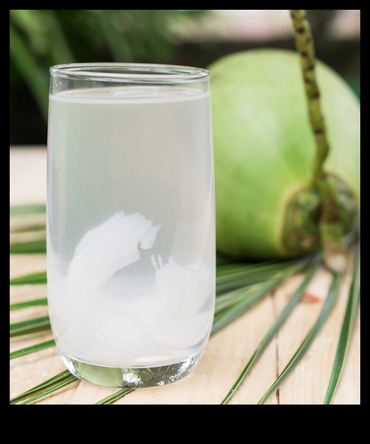 Nutrient-Packed Infusions: Elevating Your Coconut Water Experience
