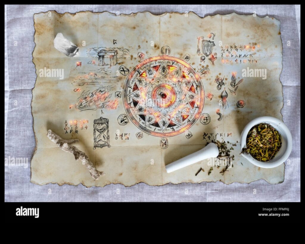 Enchanted Parchments The Magic of Medieval Manuscript Illustrations 1