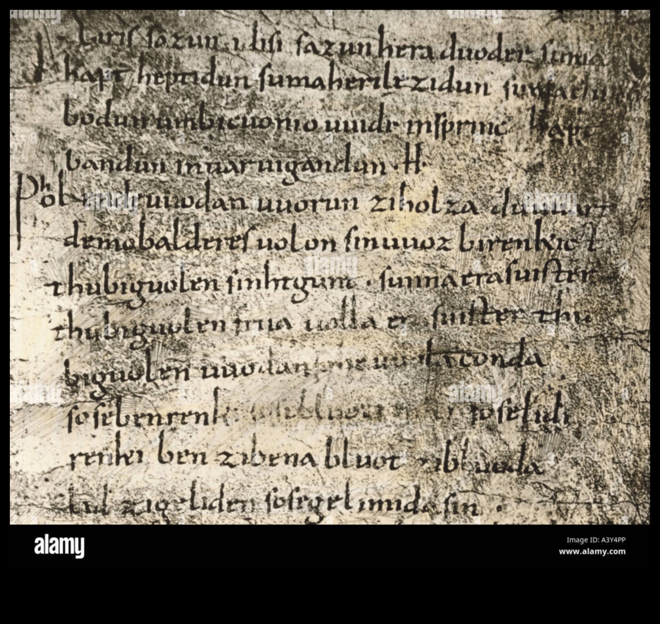 Enchanted Parchments: The Magic of Medieval Manuscript Illustrations