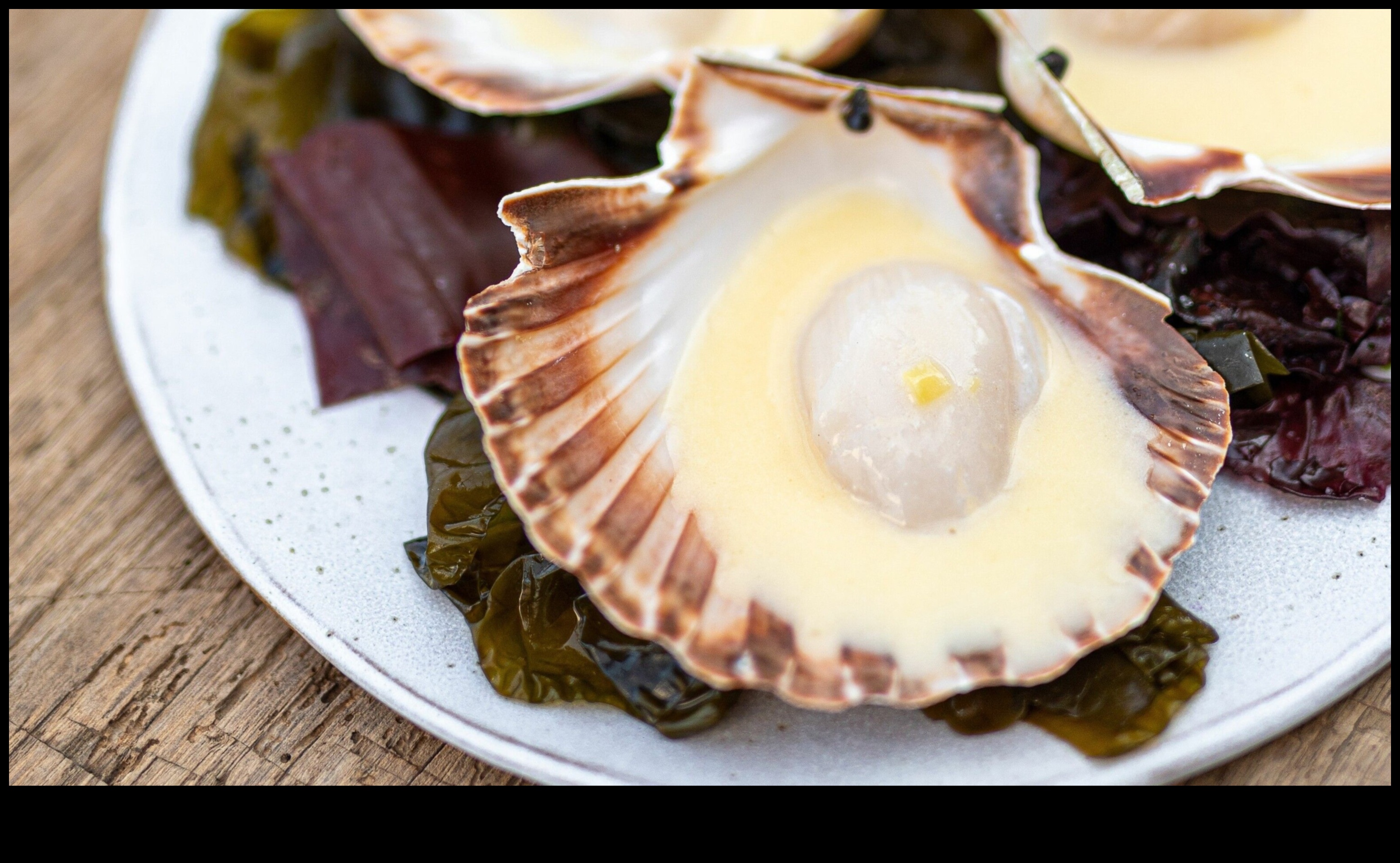 Flavors of Brittany: Culinary Treasures from Northwestern France