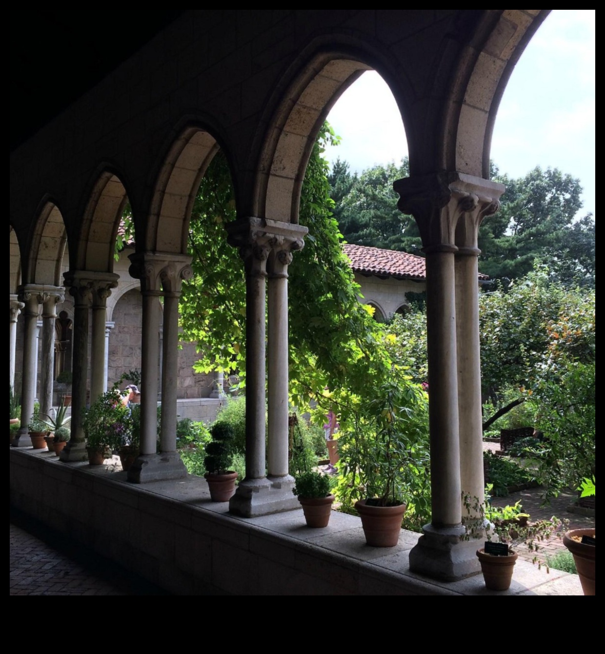 Artistic Arcades: Exploring Architectural Beauty in Renaissance Cloisters