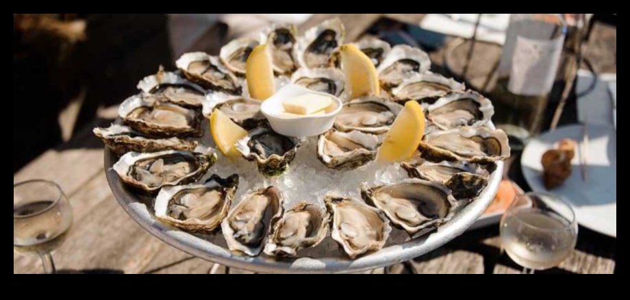 French Feast: A Culinary Journey through Gastronomy