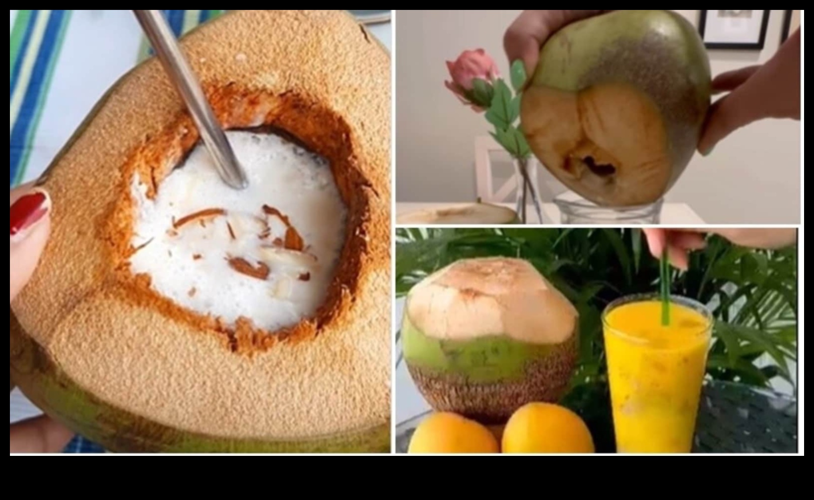 Fresh Sips: A Guide to Crafting Perfect Coconut Water Blends