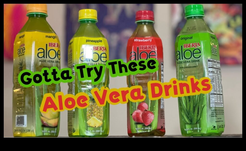 Fresh and Creative 10 Irresistible Aloe Vera Drinks to Try 1