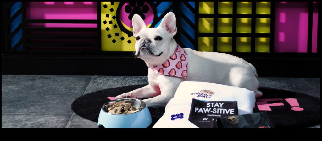 Furry Friends Fiesta Gifts for Pet Lovers and Their Companions 1