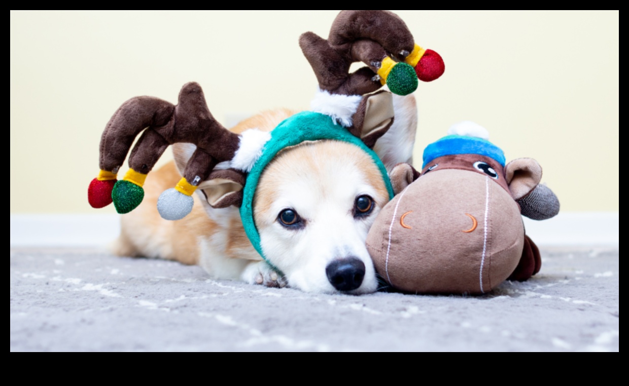 Furry Friends: Pet-themed Gifts for Animal Lovers