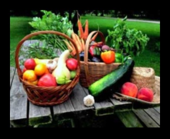 Garden Bounty How to Capture the Essence of Freshness in Your Juices 1