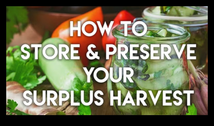 Garden Bounty How to Capture the Essence of Freshness in Your Vegetable Juices 3 Garden Bounty: Capturing the Essence of Freshness in Your Vegetable Juices