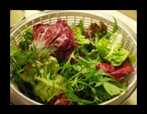 Garden Greens: Exploring the Diverse World of Nutrient-Rich Veggie Blends