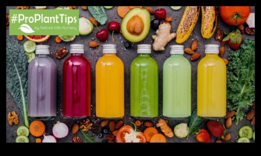 Garden Symphony: Harmonizing Flavors in Your Vegetable Juice Creations