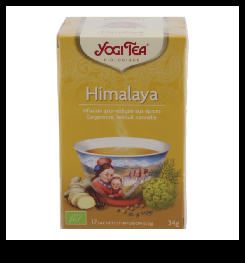 Ginger Harmony A Sweet and Savory Exploration of Healthful Infusions 1