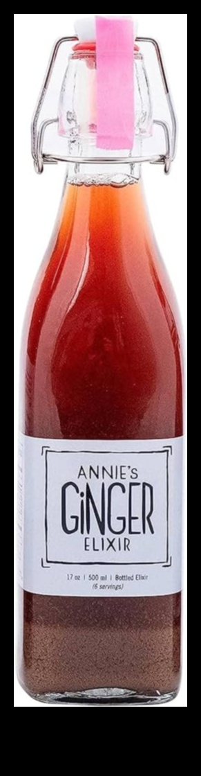 Ginger Sensations: A Guide to Crafting Irresistible Healthful Elixirs