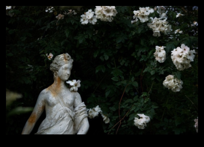 Gothic Gardens: Botanical Depictions in Medieval Artistic Expression