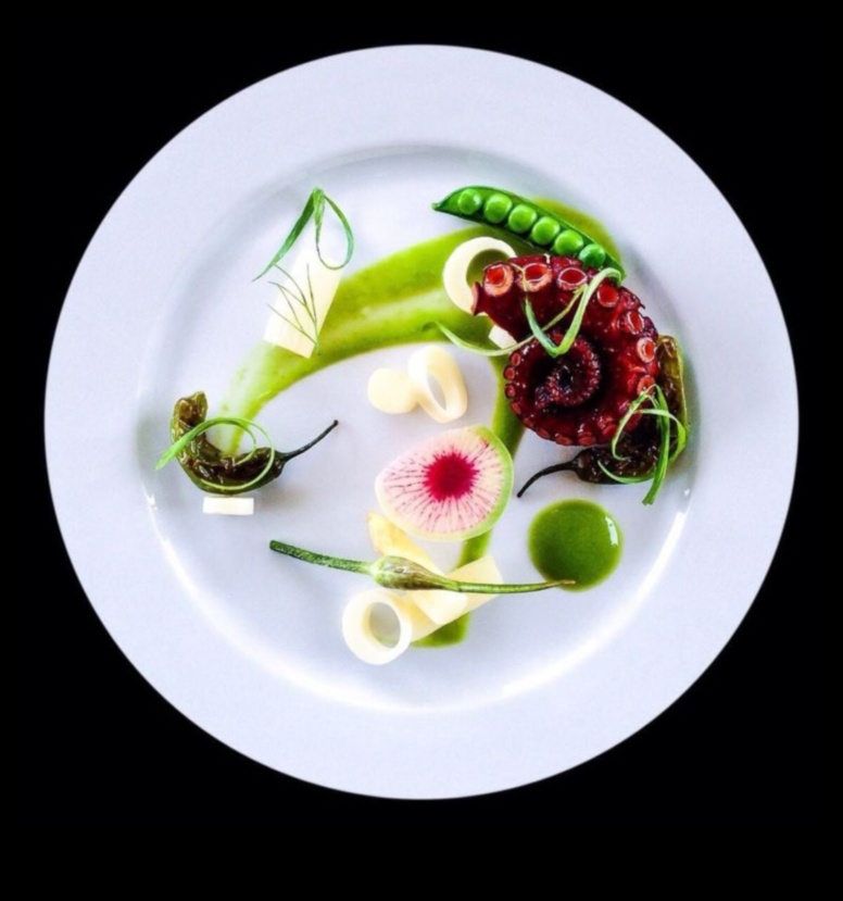 Gourmet Highlights: Culinary Stars That Brighten Your Plate