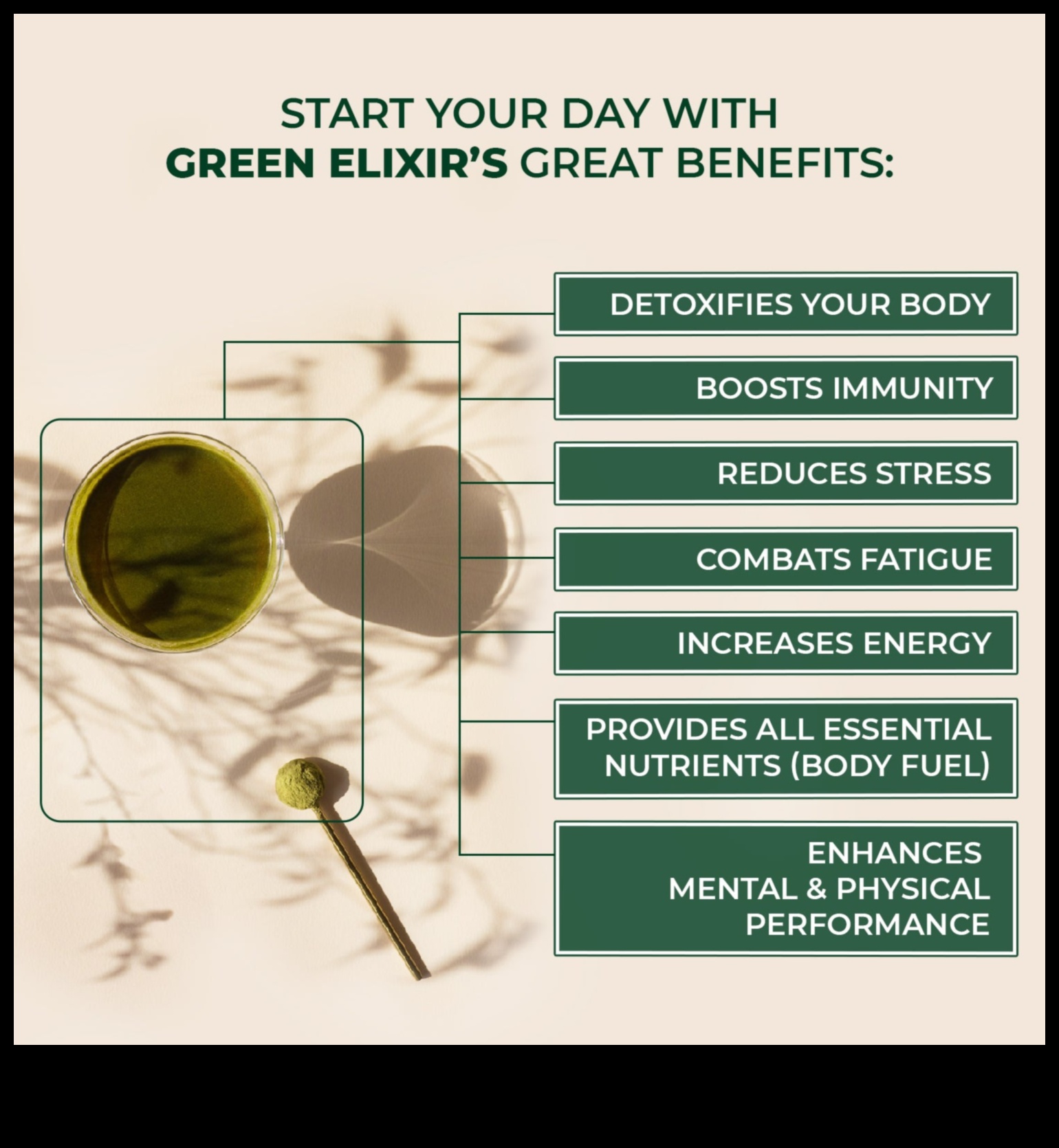 Green Elixir The Secret to a Healthy, Energized Life 1 Green Elixir: Transform Your Health with the Magic of Vegetable Juices