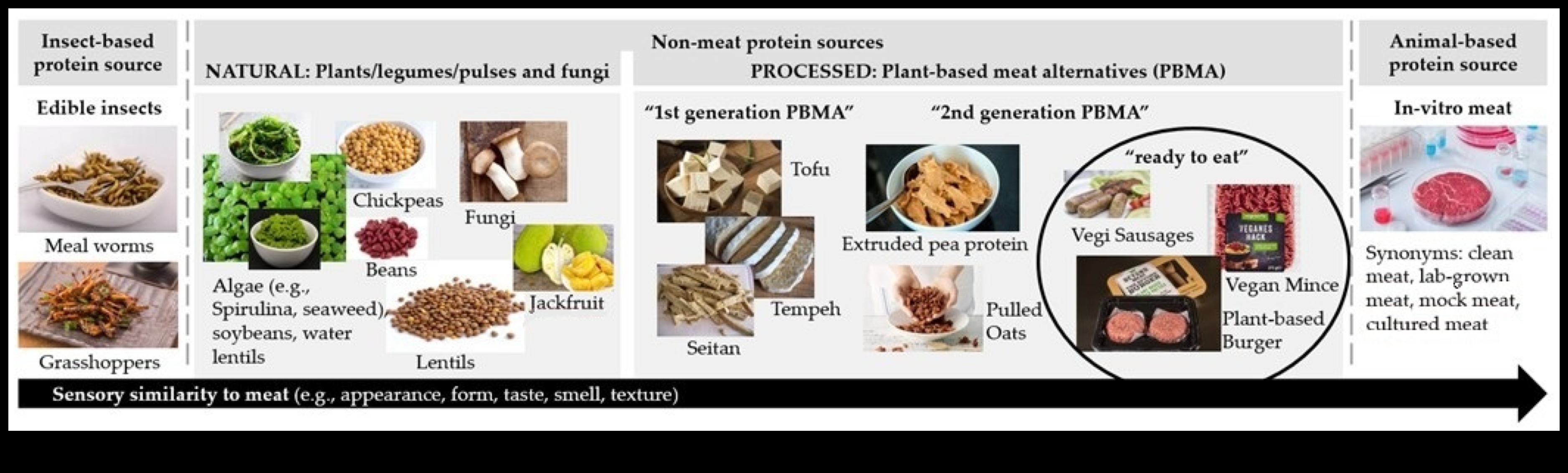 Green Gastronomy: Culinary Creations Beyond Meat