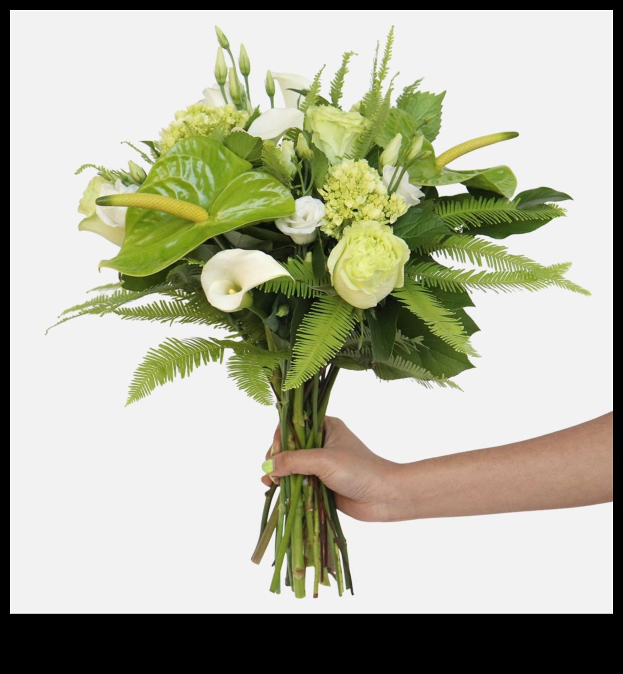 Green Goddess: Plant-themed Gift Selection for Mother's Day