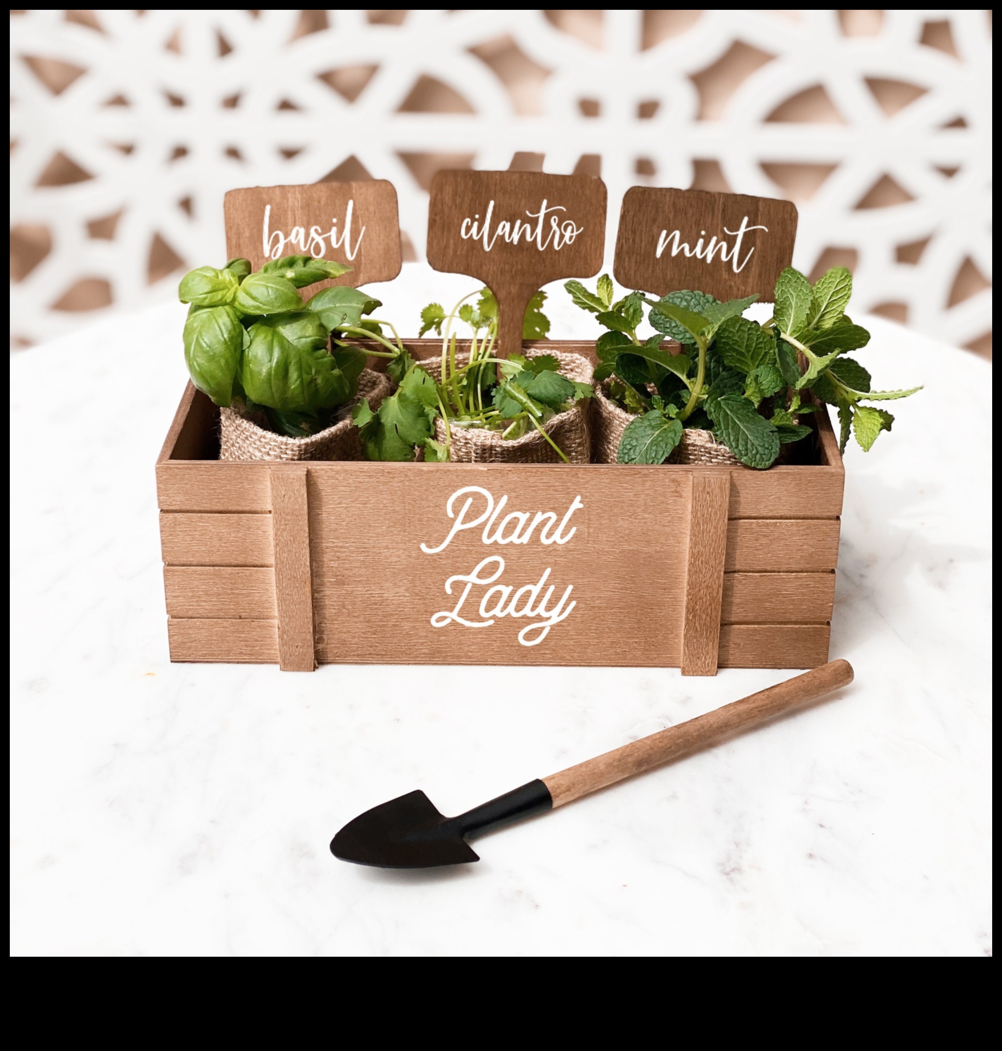 Green Goddess: Plant-themed Gift Selection for Mother's Day