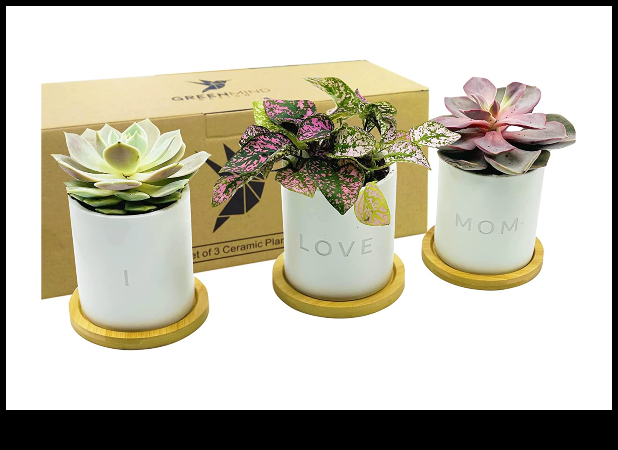 Green Goddess: Plant-themed Gift Selection for Mother's Day