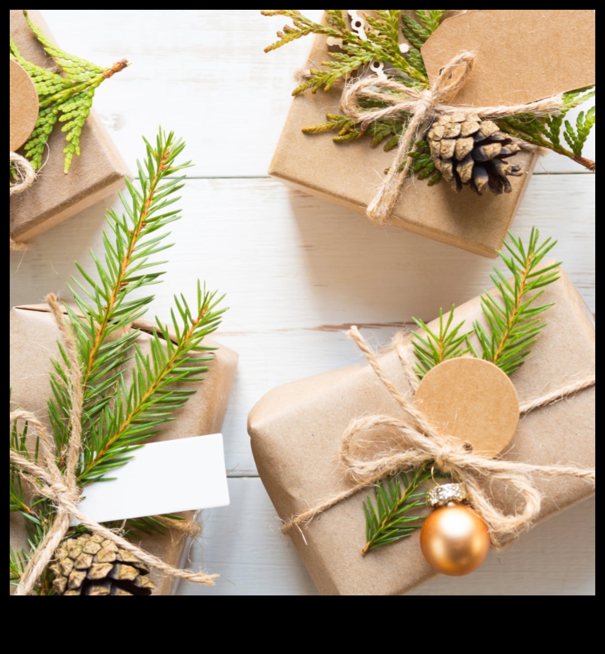 Green Guardian: Eco-Friendly Gifts and Sustainable Products for the Environmentally Conscious Man