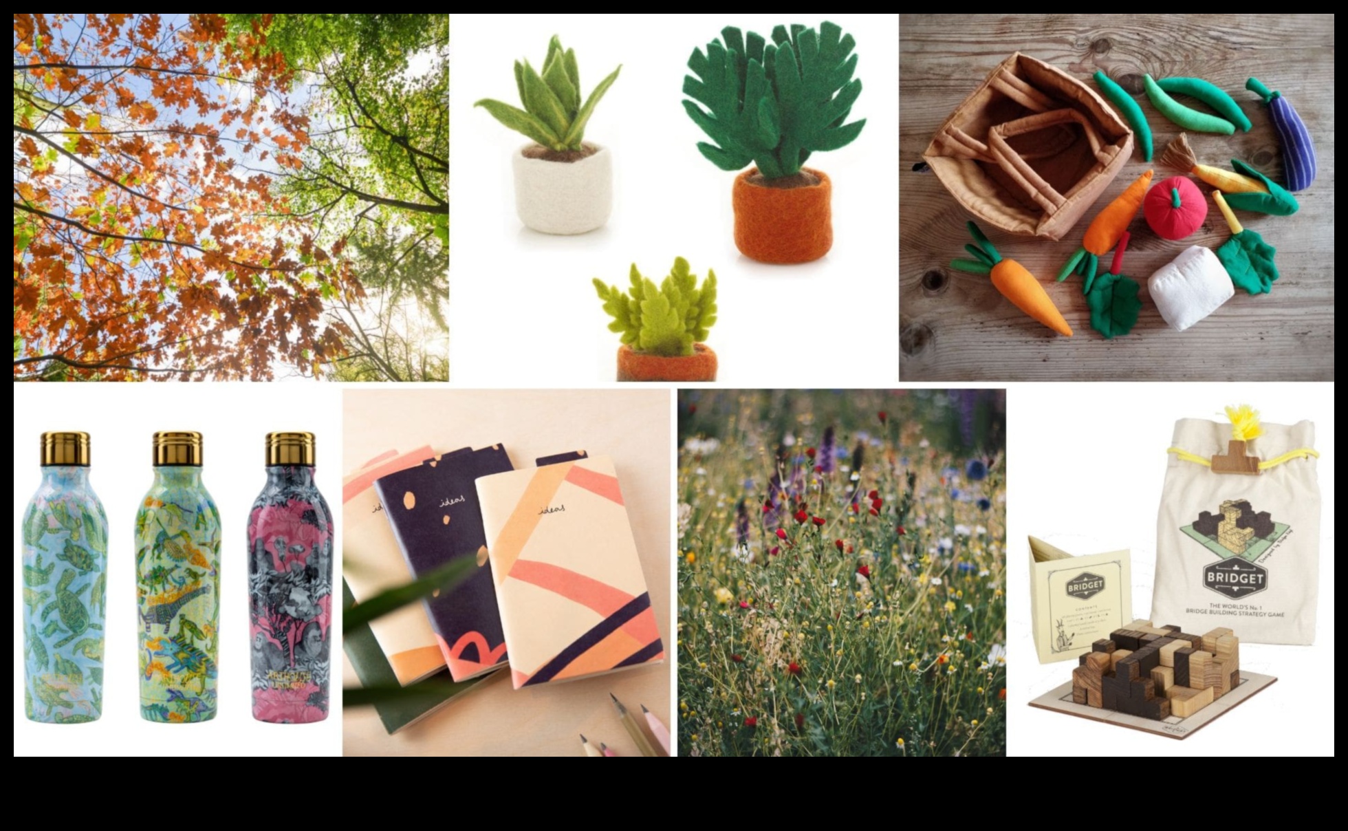 Green Guardian: Sustainable Gifts for the Eco-Warrior