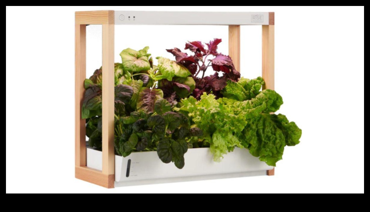 Green Guardian: Sustainable and Eco-Friendly Gifts for the Environmentally Conscious Man