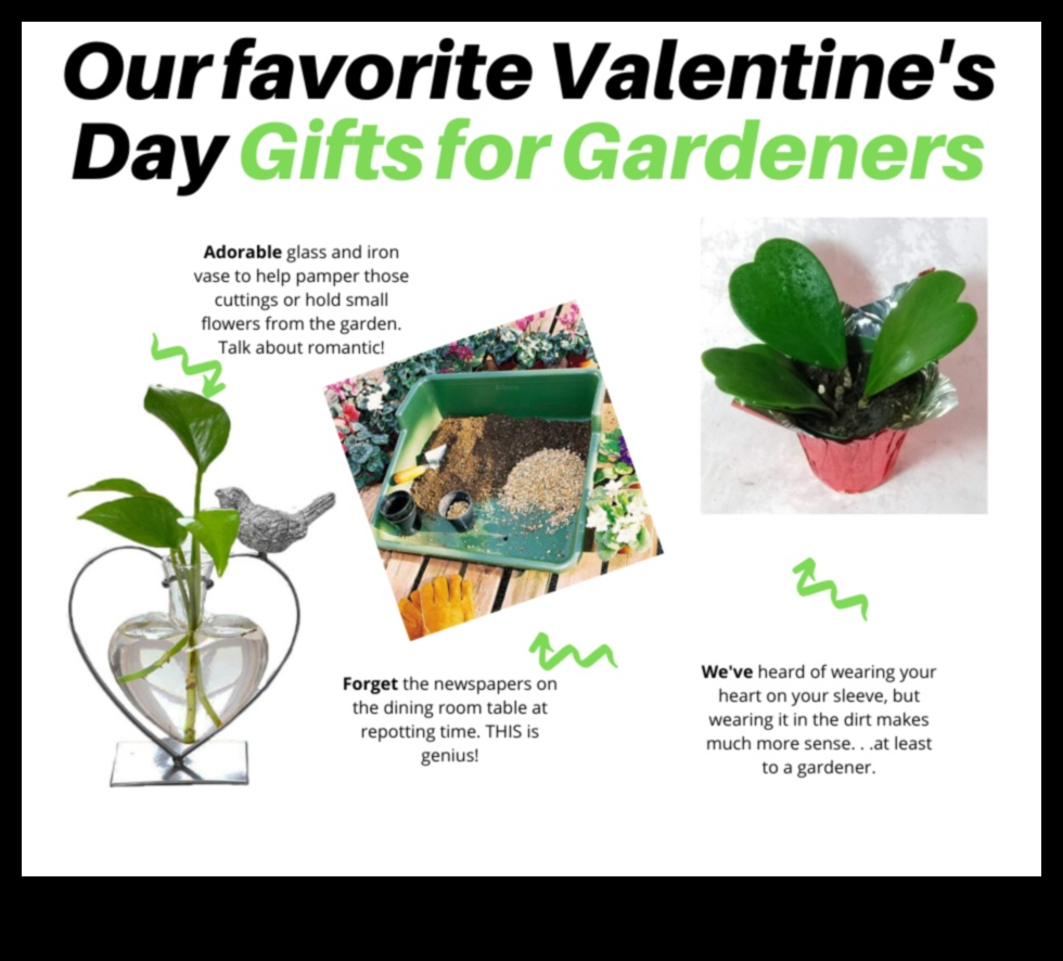 Green Love: Gardening Gifts for Nature-Enthusiast Valentines