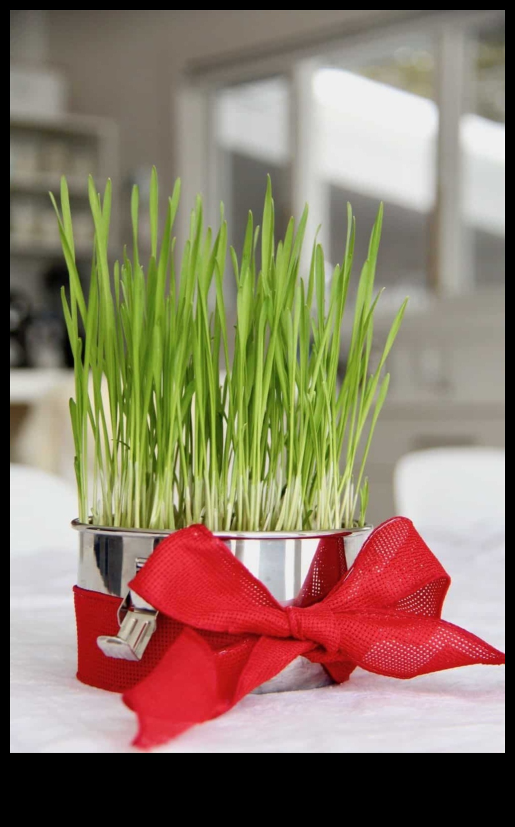 Green Love: Gardening Gifts for Nature-Enthusiast Valentines