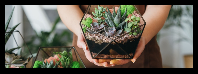 Green Thumb Glory: Gardening Gifts for Plant Enthusiasts