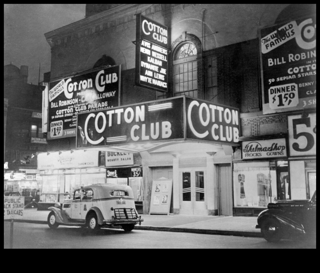 Haarlem Harmony A City's Creative Renaissance 1