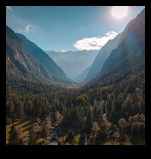 Harmonic Haven: Musical Instruments for the Melodic Soul