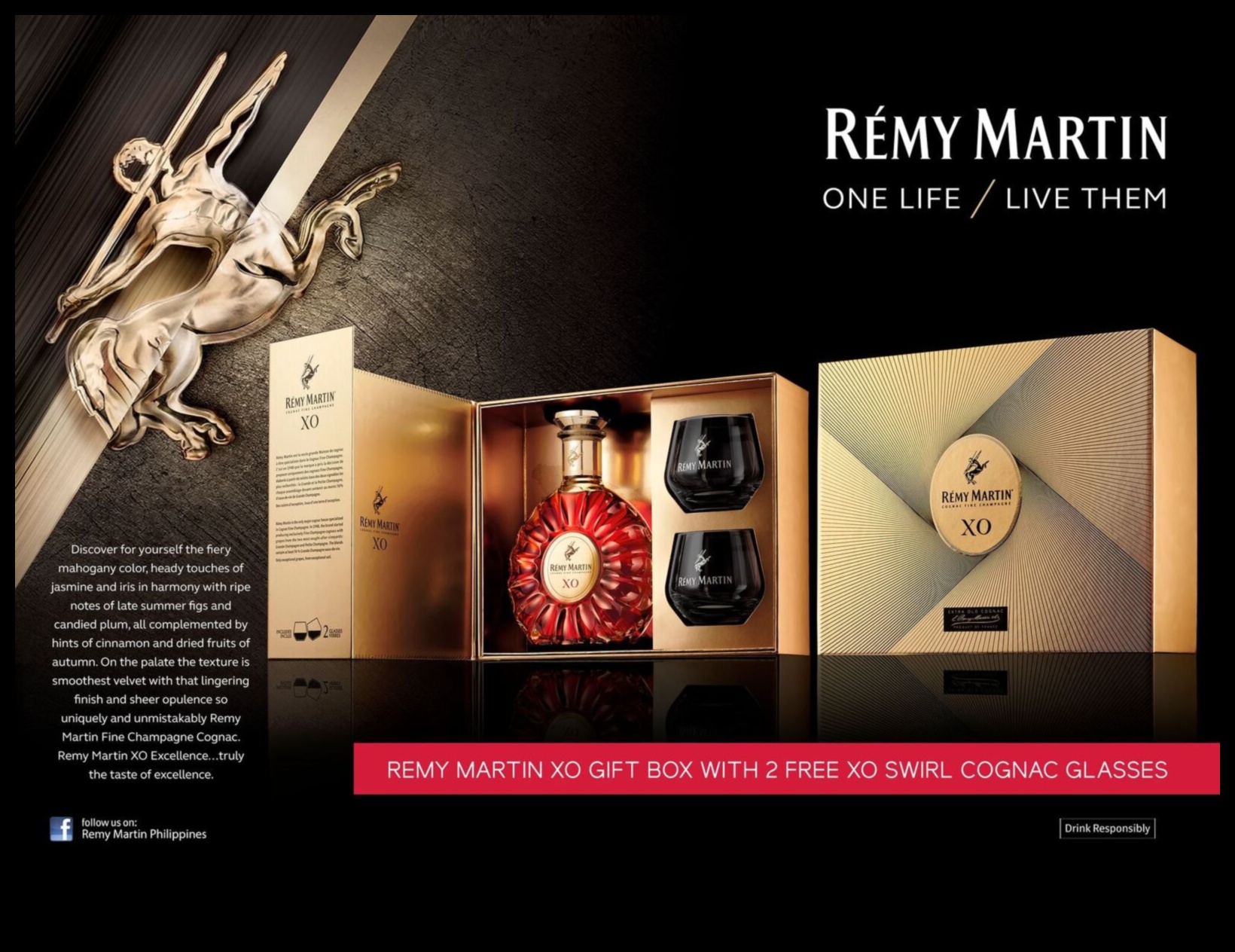 Harmony in a Box: Special Concepts for Every Occasion