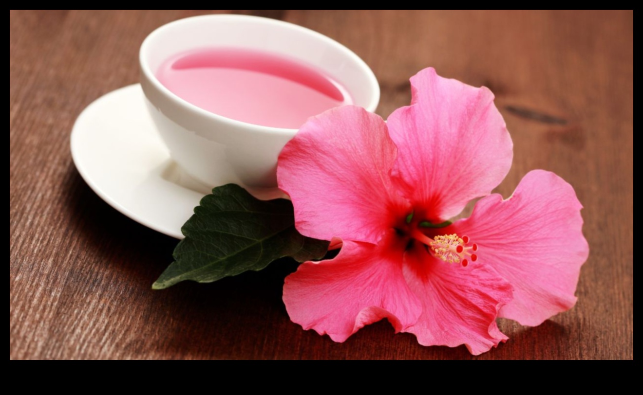 Hibiscus Harmony: A Guide to the Exotic World of Hibiscus Infusions