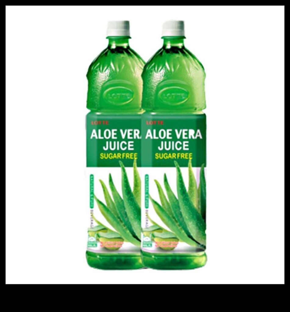 Hydration Elevation Aloe Vera Beverages for a Healthier You 1
