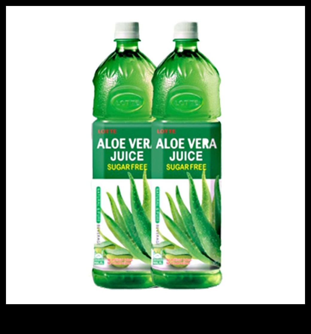 Hydration Elevation: Elevating Your Wellbeing with Aloe Vera Beverages