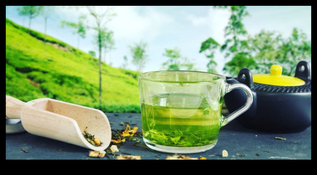 Iced Green Tea Trends: Exploring the Latest and Greatest in Tea Innovation