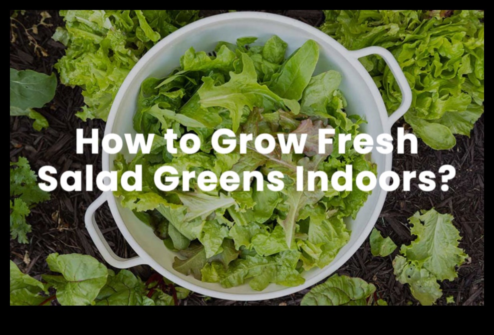 Leafy Goodness A Guide to the World's Freshest and Vibrant Green Blends 1