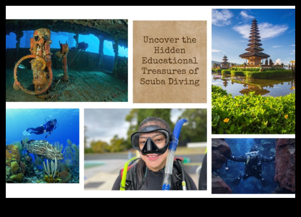 Learning Lagoon: Educational Games for Skill Development