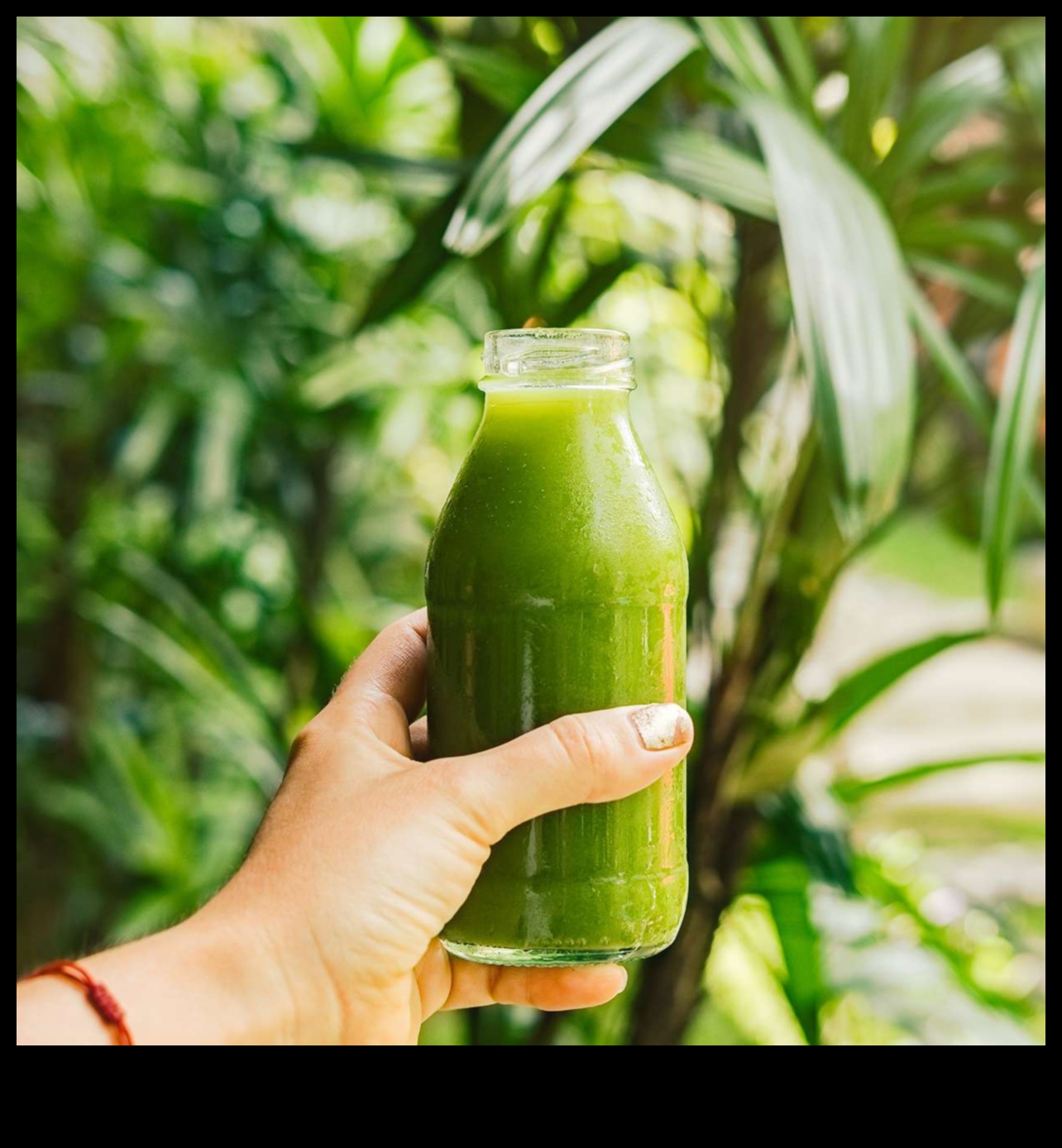 Liquid Greens Lifestyle: Incorporating Veggie Juices into Your Daily Routine