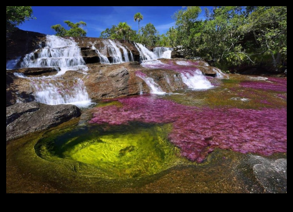 Liquid Rainbow A Tour of the Colors of the Juice Spectrum 2 Liquid Rainbow: Exploring a Spectrum of Colors in Fresh Juice Blends